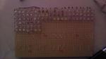 Récifal 240l Imag0733-377d37b