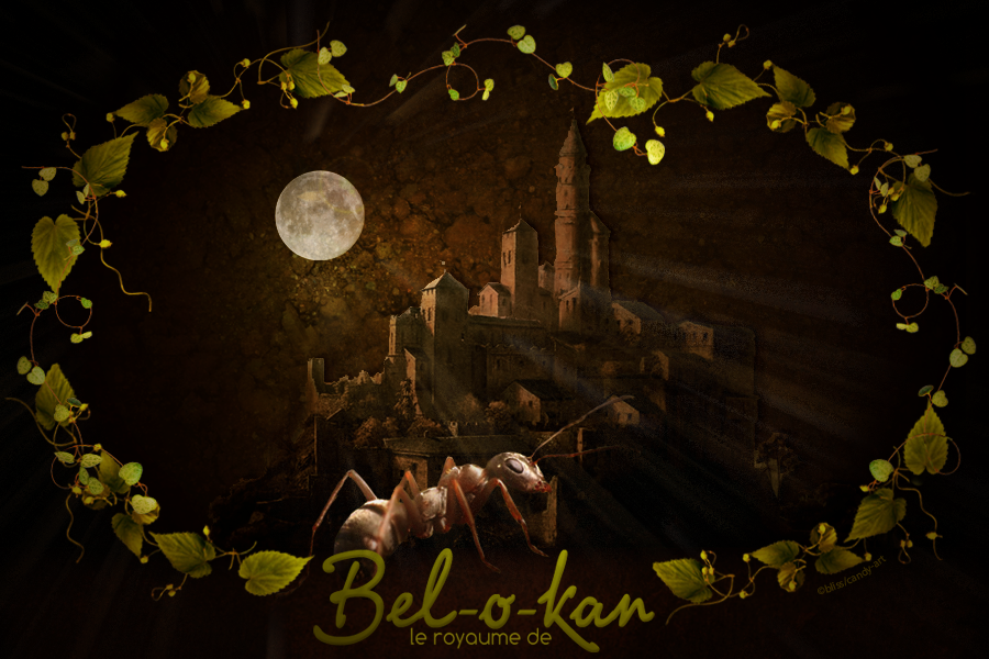 Bel-o-kan
