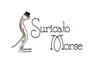 9.95-Suricato Morse