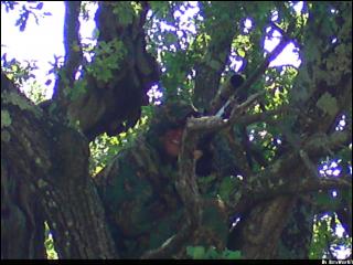 Dark Wolf Membre de l'Association Airsoft Ardèche Dsc00429-380168d